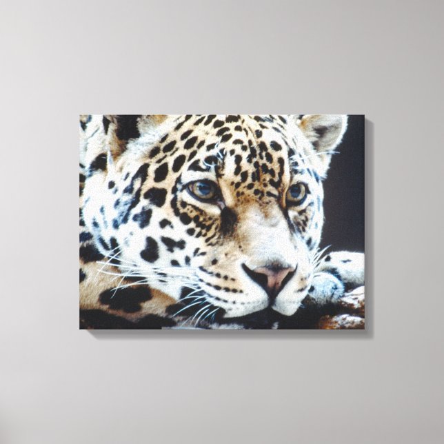 IMPRESSÃO EM TELA 24114363 (Frente)