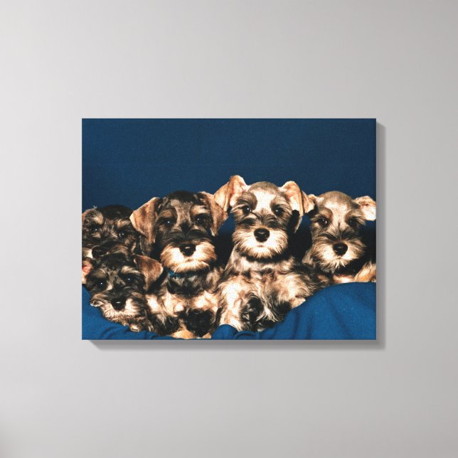 IMPRESSÃO EM TELA 24117057 (Frente)