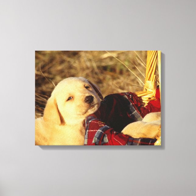 IMPRESSÃO EM TELA 24117967 (Frente)