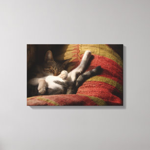 IMPRESSÃO EM TELA 24140641