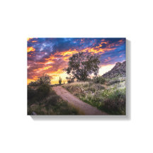 2815-Paisagem do Deserto com Saguaro no Sunset