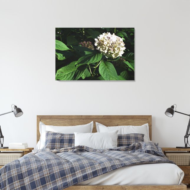 Impressão Em Tela 36"x24" Panicle Hydrangea (Insitu(Quarto))