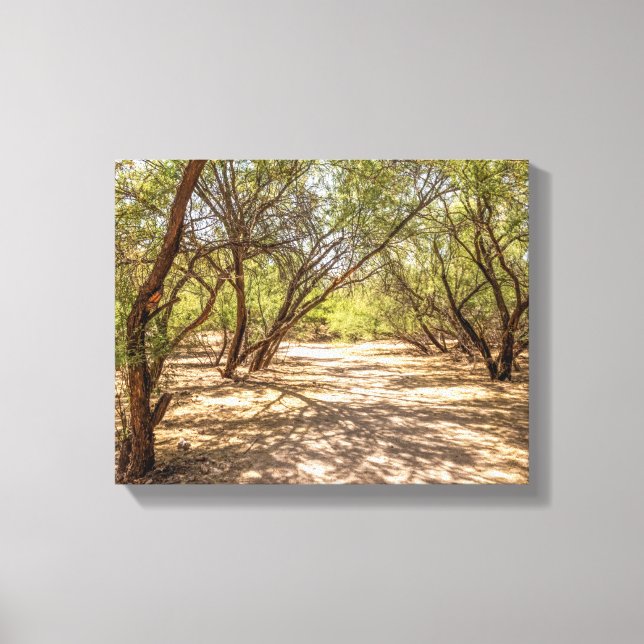 Impressão Em Tela 4745-Shade Trees no Deserto (Frente)