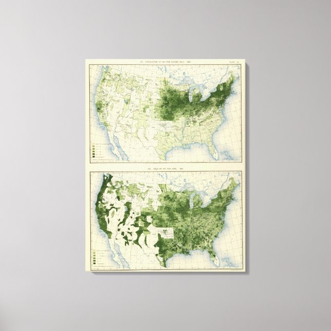 Impressão Em Tela 53 Hay 1890 (Frente)