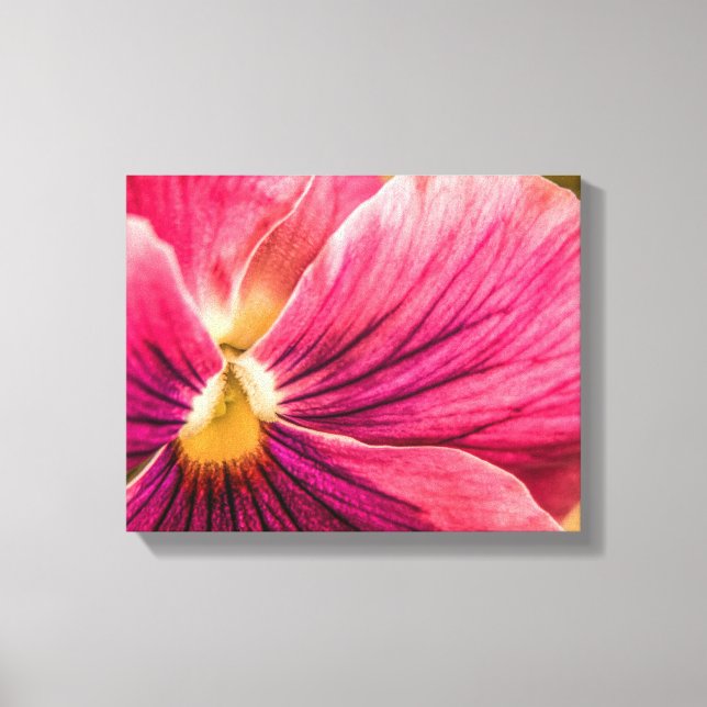 Impressão Em Tela 5880-Red Pansy (Frente)