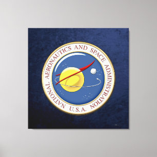 Impressão Em Tela [900] Emblema da NASA [3D]