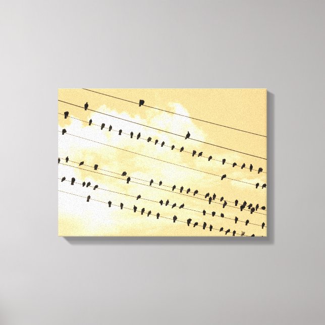 Impressão Em Tela 91 (1) aves (Frente)