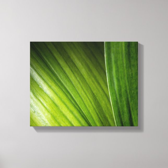 Impressão Em Tela 9206-Folhas Verdes (Frente)