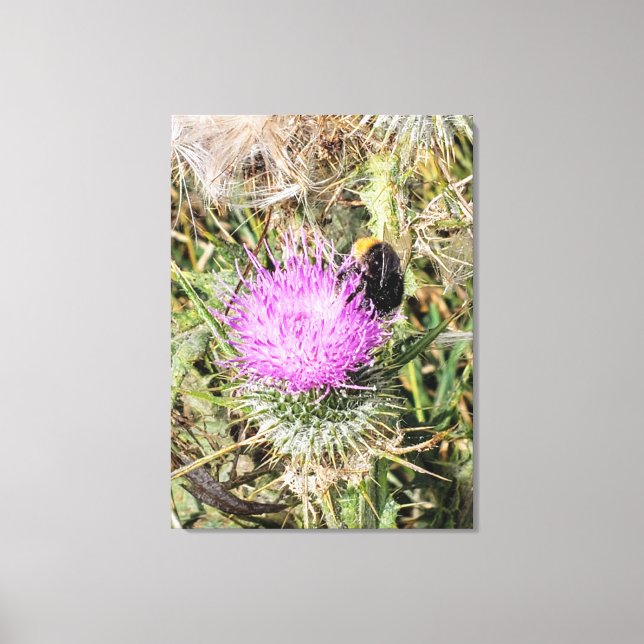 Impressão Em Tela A abelha no caroço roxo. (Frente)