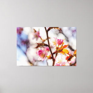 Impressão Em Tela A Arte de Florescer Cerejeiras em um Dia Ensolarad
