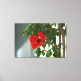 Impressão Em Tela A beautiful bridal bouquet poster