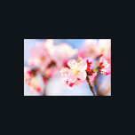 Impressão Em Tela A Beleza Brilhante Das Flores De Sakura Rosa<br><div class="desc">Um monte de flores e botões de sakura cor-de-rosa macio em uma ponta de um galho. O fundo suave da cereja floresce e o céu azul pálido. Hanami - a temporada de sakura assistindo. Uma pintura digital muito grande a partir de uma fotografia. Impressão floral esticada de tela para decorar...</div>