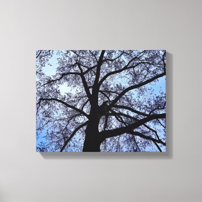 Impressão Em Tela A beleza da natureza (Frente)