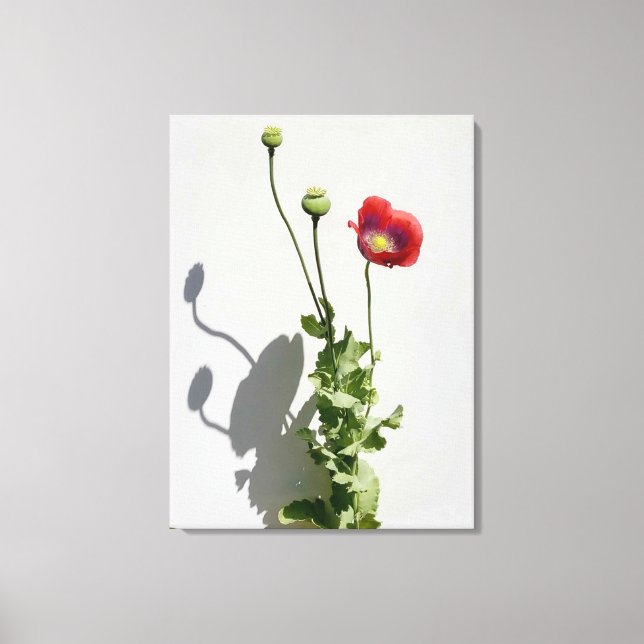 Impressão Em Tela A beleza também é a Besta. (Frente)