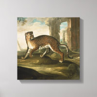 A Jaguar