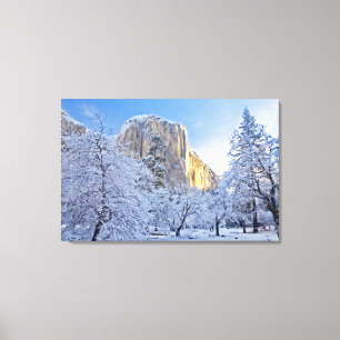Impressão Em Tela A luz do sol atinge El Capitan através da neve