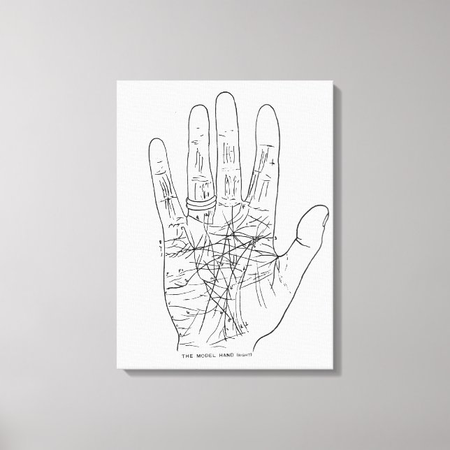 Impressão Em Tela A Mão Modelo (Frente)
