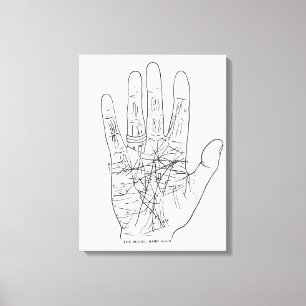 Impressão Em Tela A Mão Modelo