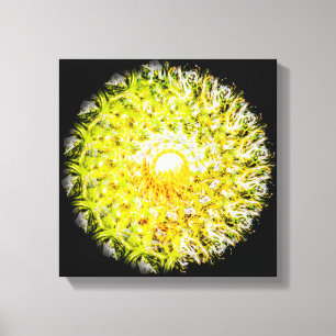 Impressão Em Tela A meio caminho do Sol BrushAVC Spiral Mandala