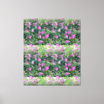   A Natureza É Bonita Flor Colorida Esticada Ca