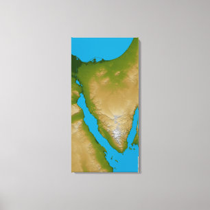Impressão Em Tela A peninsula do Sinai