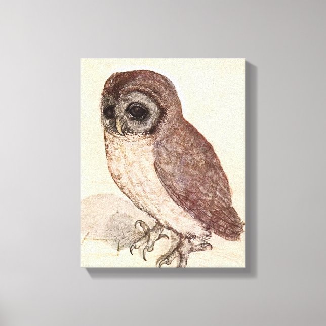Impressão Em Tela A Pequena Coruja | Albrecht Dürer (Frente)