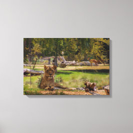 Impressão Em Tela A Rainha