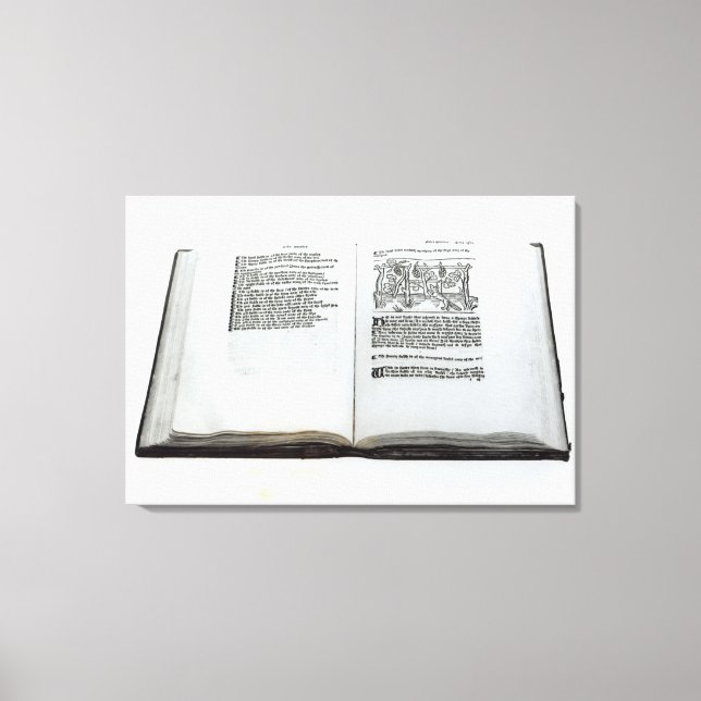 Impressão Em Tela A Raposa e as Uvas (Frente)