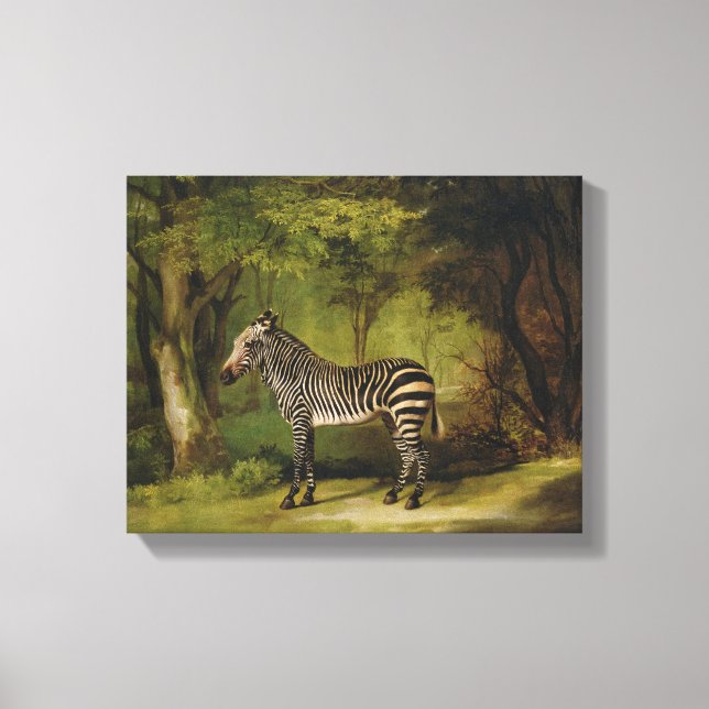 Impressão Em Tela A Zebra, 1763 (óleo na canvas) (Frente)