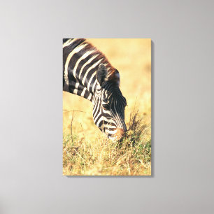 Impressão Em Tela A zebra 2 de Burchell
