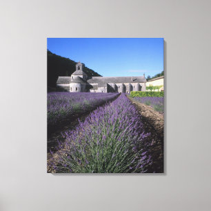 Impressão Em Tela Abadia de Senanque, Gordes, Vaucluse, Provença,