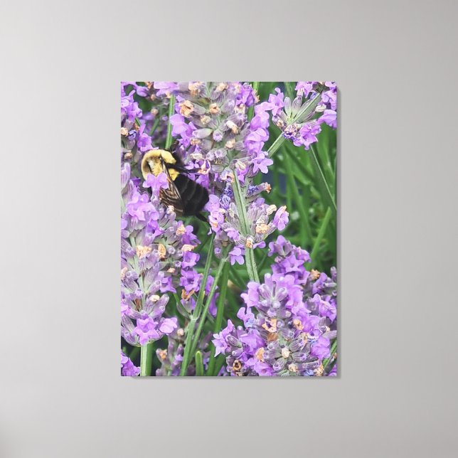 Impressão Em Tela Abeia na Flor de Lavanda (Frente)