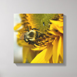 Impressão Em Tela Abelha Ocupada em um Girassol