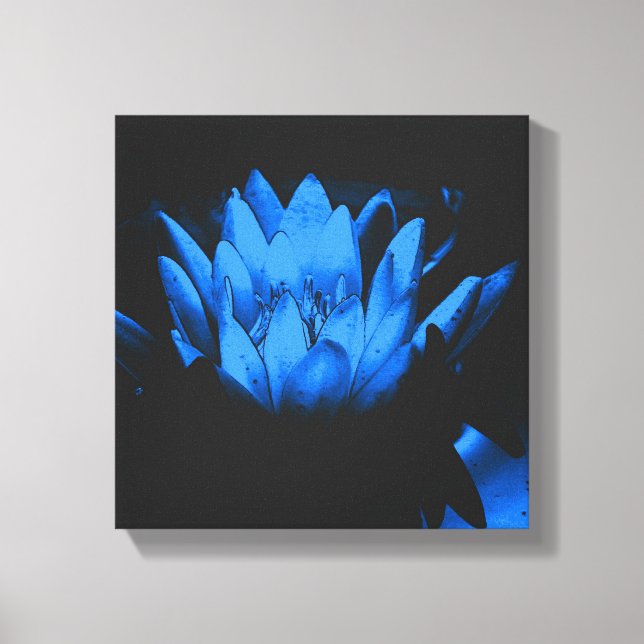 Impressão Em Tela Abstrato de Flor Lily Lotus Azul-Água (Frente)