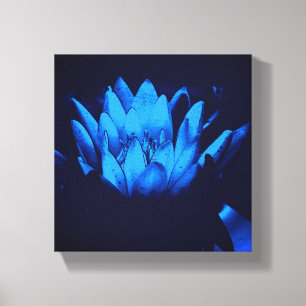 Impressão Em Tela Abstrato de Flor Lily Lotus Azul-Água