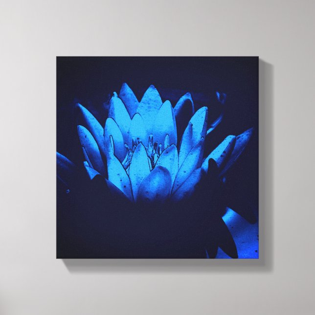 Impressão Em Tela Abstrato de Flor Lily Lotus Azul-Água (Frente)