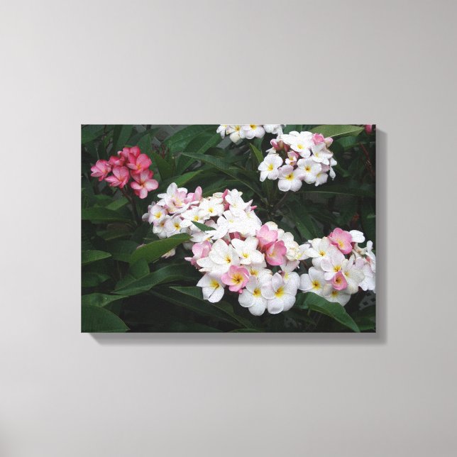 Impressão Em Tela Abundância de plumerias de Verão (Frente)