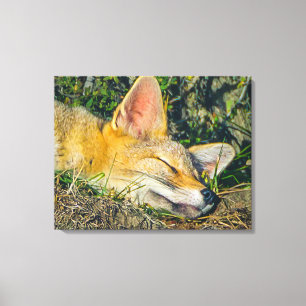 Impressão Em Tela Adorable fox sleeping closeup photography