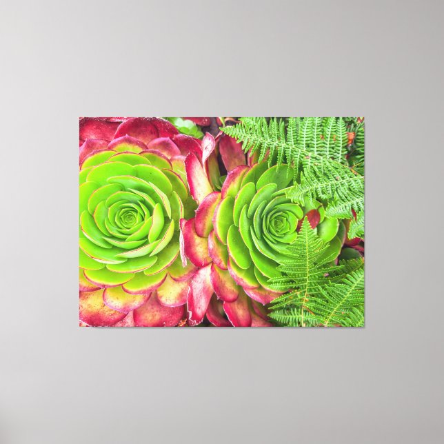 Impressão Em Tela Aeónio (Frente)