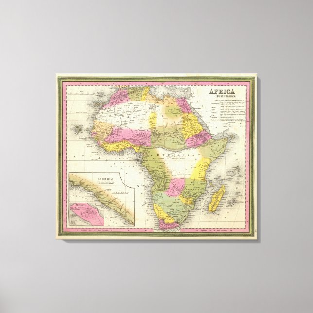Impressão Em Tela África 2 (Frente)