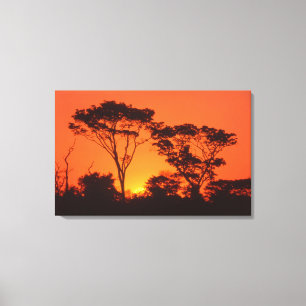 Impressão Em Tela África do Sul.  Pôr do sol africano.