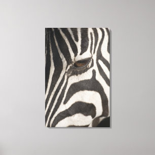 Impressão Em Tela 'África, Tanzânia, conservação Area de Ngorong