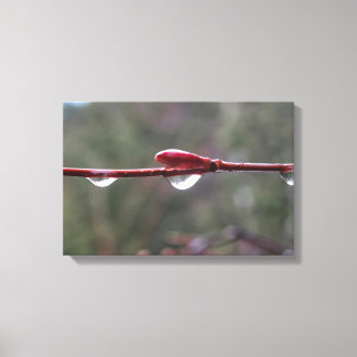 Impressão Em Tela After the Rain