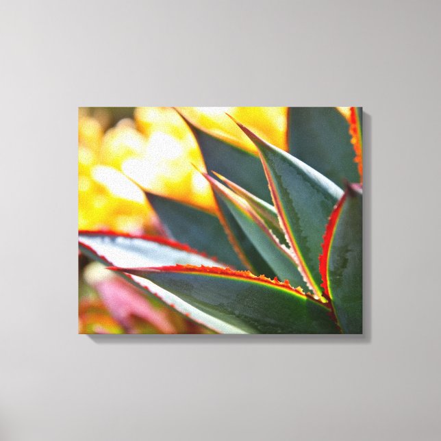 Impressão Em Tela Agave 'Blue Glow' de Debra Lee Baldwin (Frente)