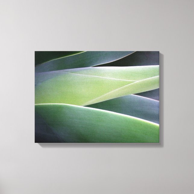 Impressão Em Tela Agave Folhas (Frente)