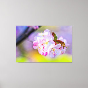Impressão Em Tela Aglomerado Global De Incríveis Flores De Sakura Ro