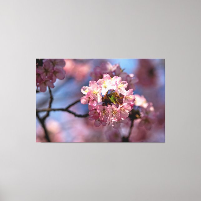 Impressão Em Tela Agrupamento Circular de Flores de Sakura em Flor (Frente)