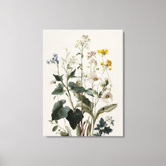 Impressão Em Tela Agrupamento de Flores Silvestres Anêmona