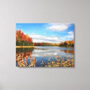 Impressão Em Tela Água   Mabel Lake Canada