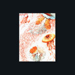 Impressão Em Tela Água-viva, Disco de Ernst Haeckel<br><div class="desc">Água-viva,  Disco Scheibenquallen por Ernst Haeckel Canvas Print</div>